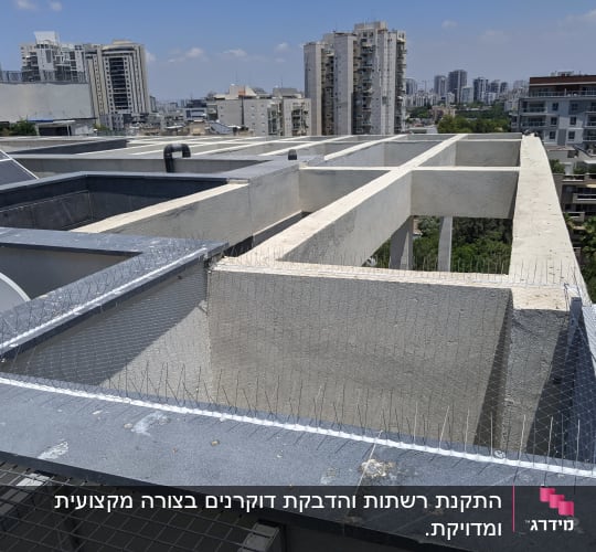 רשתות ודוקרנים למניעת כניסת יונים על גג בניין